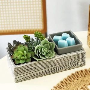 Suc-cute-lent Scentsy Warmer